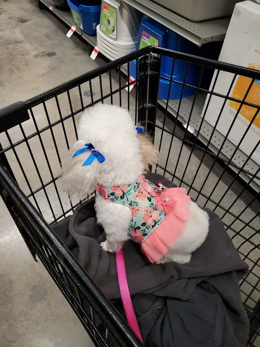 Pet Supplies Plus Charlotte - Elizabeth Picture 6