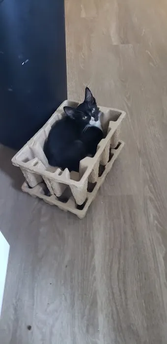Pet Supermarket Picture 3
