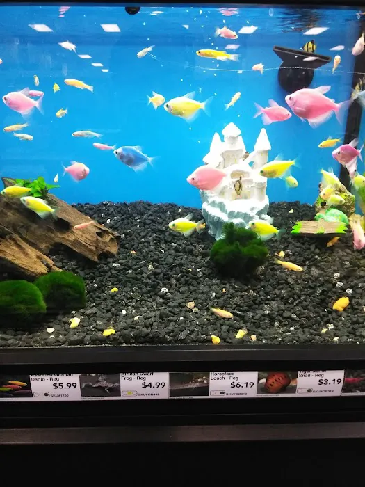 Pet Supermarket Picture 5