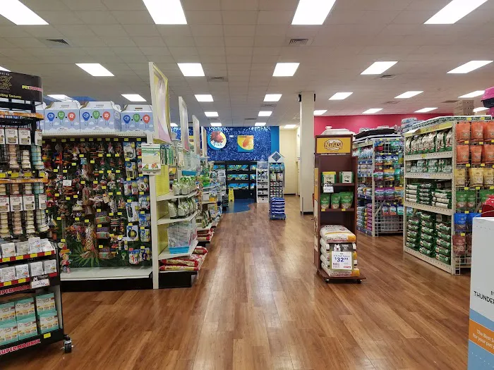 Pet Supermarket Picture 2