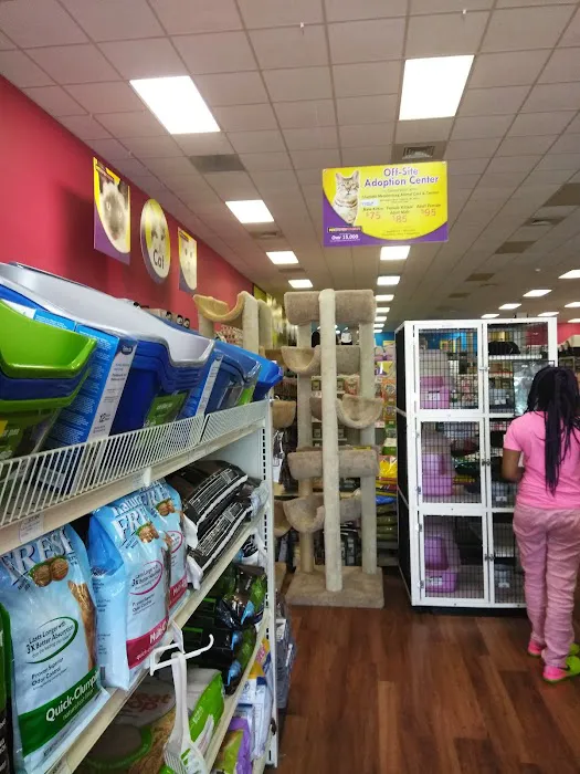Pet Supermarket Picture 6