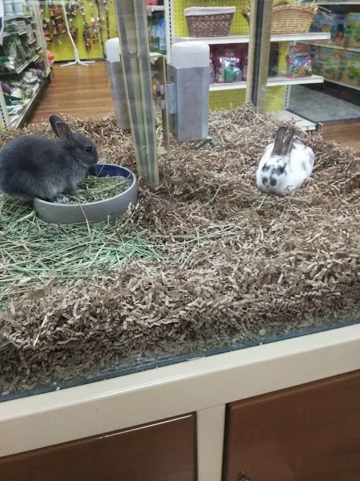 Pet Supermarket Picture 7
