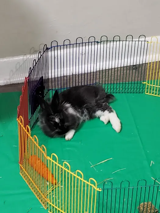 Pet Supermarket Picture 10