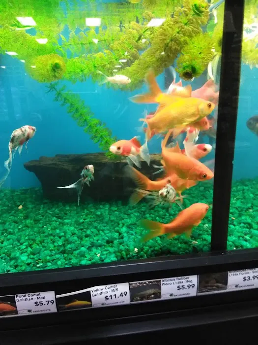 Pet Supermarket Picture 8