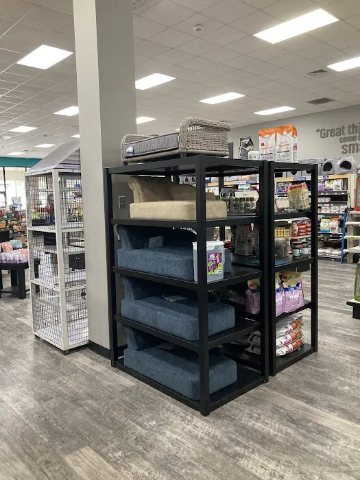 Pet Supermarket Picture 9