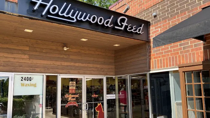 Hollywood Feed Picture 5