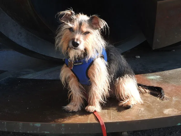 West Chelsea Veterinary Picture 6