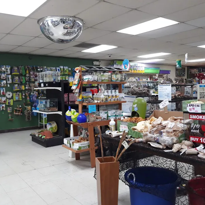 Last Place On Earth Petshop Picture 8