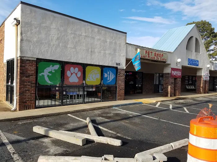 Last Place On Earth Petshop Picture 1