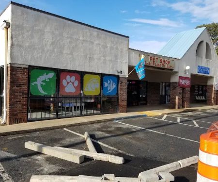 Last Place On Earth Petshop