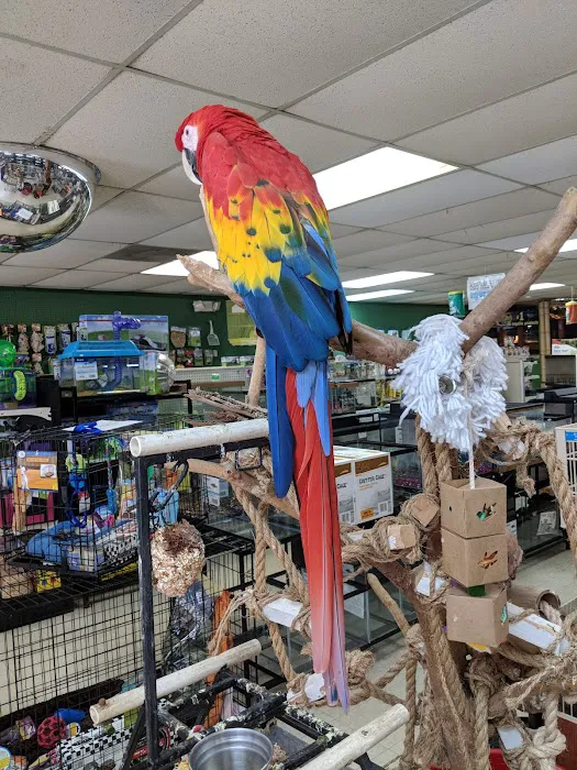 Last Place On Earth Petshop Picture 7