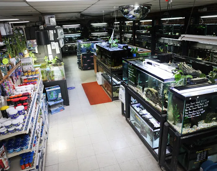 Last Place On Earth Petshop Picture 2