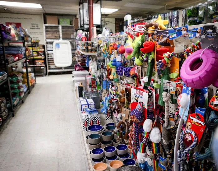 Last Place On Earth Petshop Picture 6