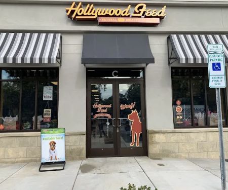 Hollywood Feed