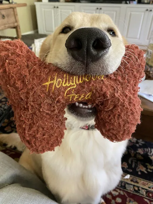 Hollywood Feed Picture 9