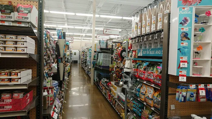 Pet Supplies Plus Charlotte - Sharon Picture 1