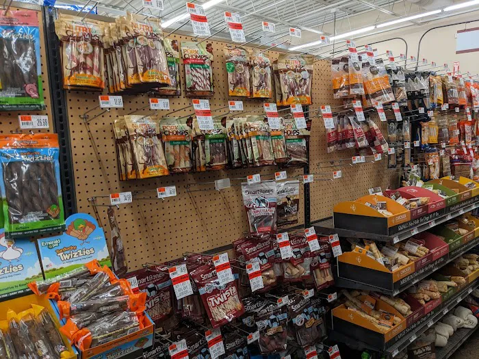 Pet Supplies Plus Charlotte - Sharon Picture 3