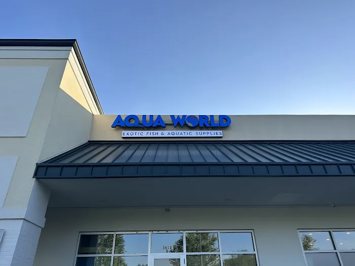 Aqua World Picture 5