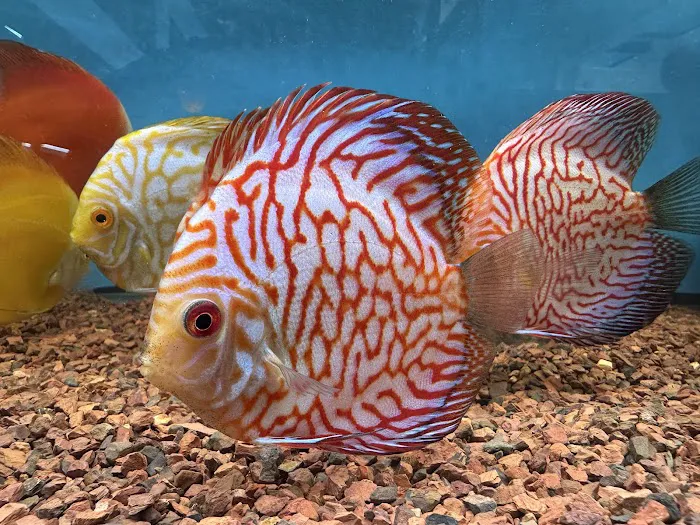 Aqua World Picture 4