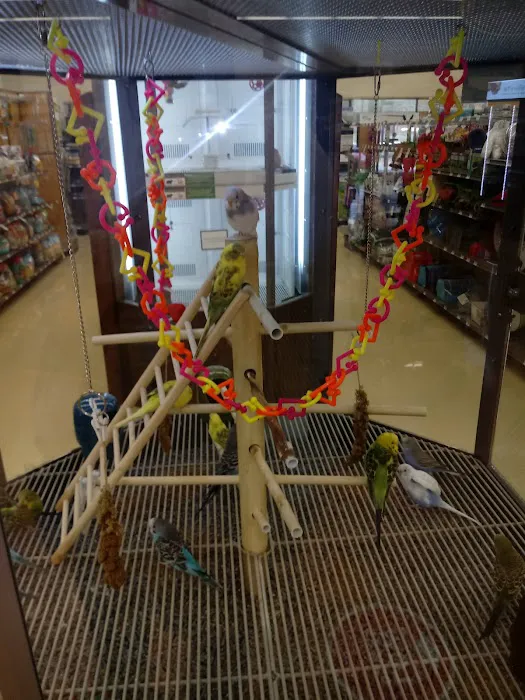 Petco Picture 4