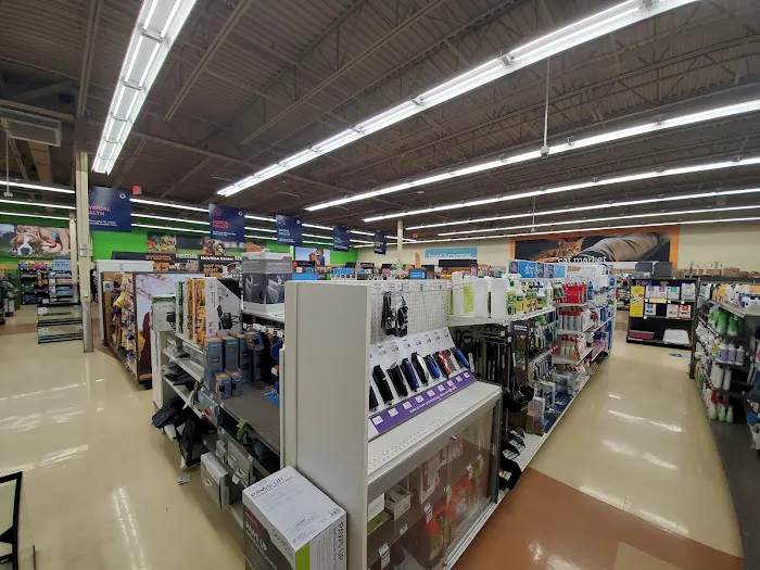 Petco Picture 10