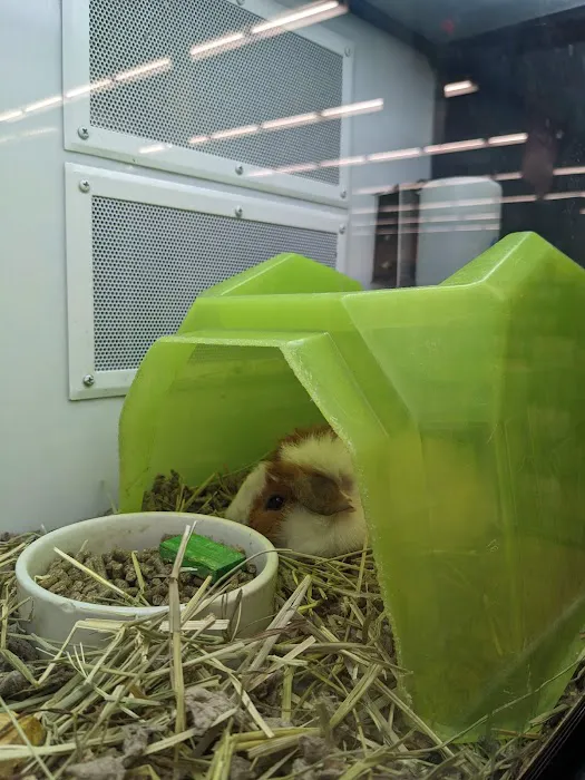 Petco Picture 7