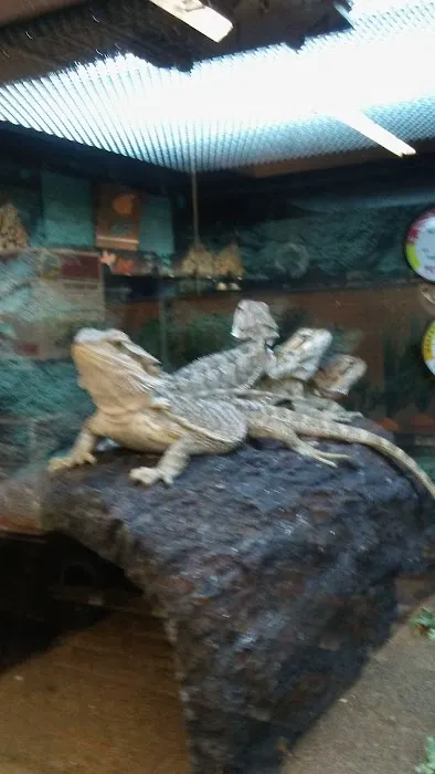 Petco Picture 3