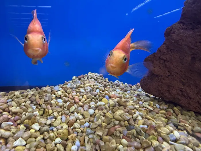 Petco Picture 5