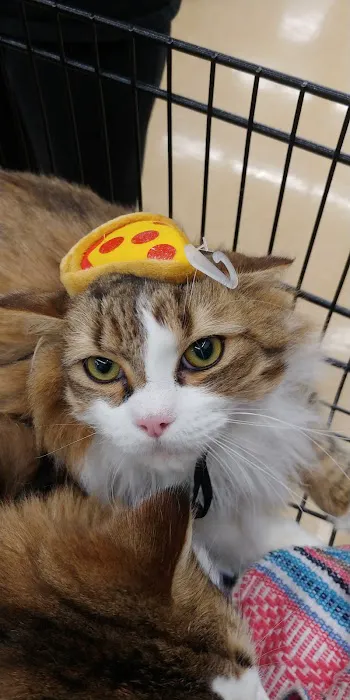 Pet Supplies Plus Charlotte - Pineville Mathews Picture 4