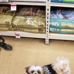 Pet Supplies Plus Charlotte - Pineville Mathews