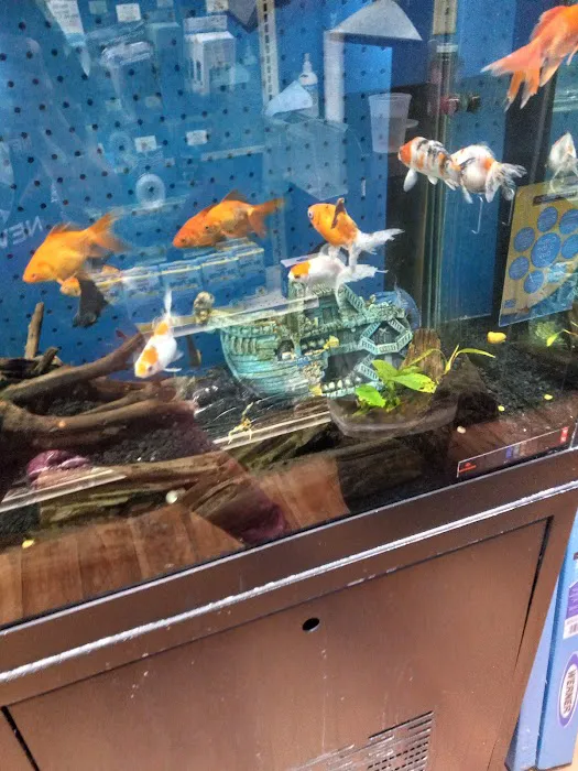 Pet Supermarket Picture 2