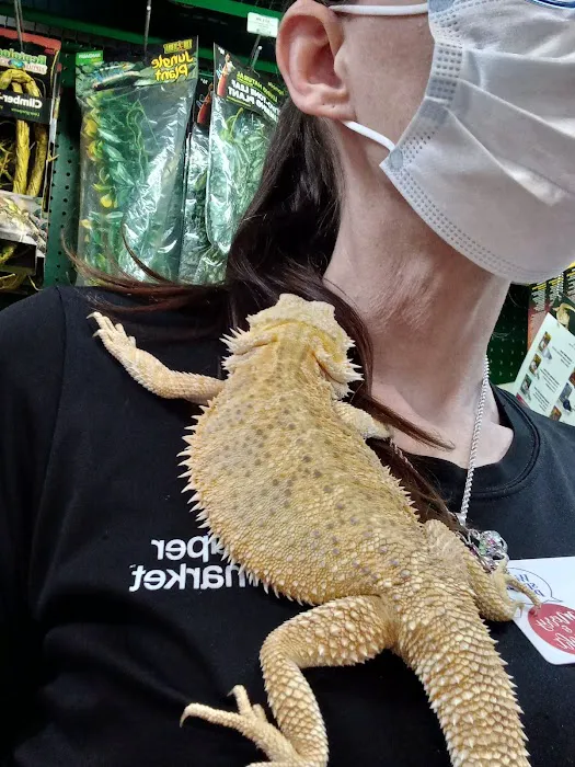 Pet Supermarket Picture 4