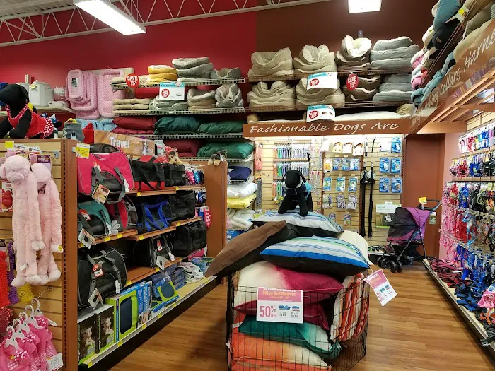 Pet Supermarket Picture 1