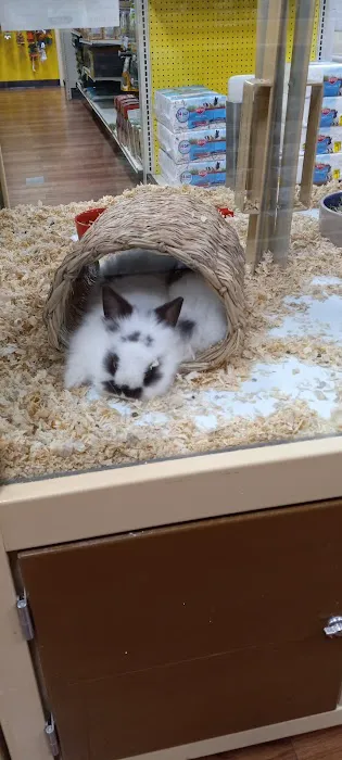 Pet Supermarket Picture 3