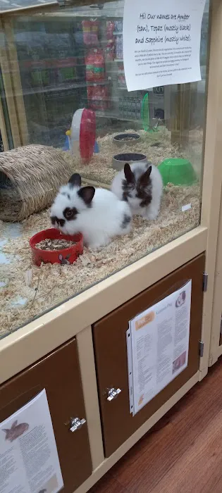 Pet Supermarket Picture 8