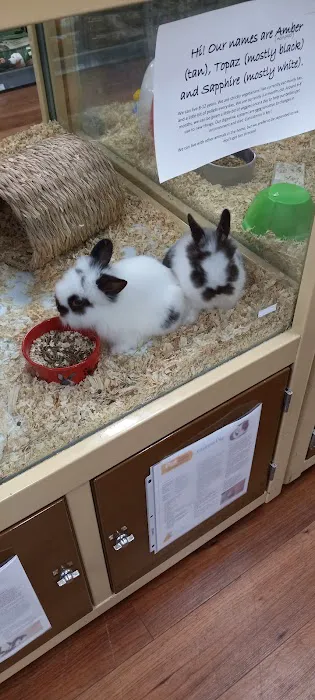 Pet Supermarket Picture 7