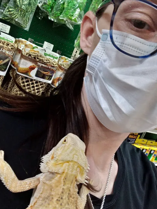 Pet Supermarket Picture 5