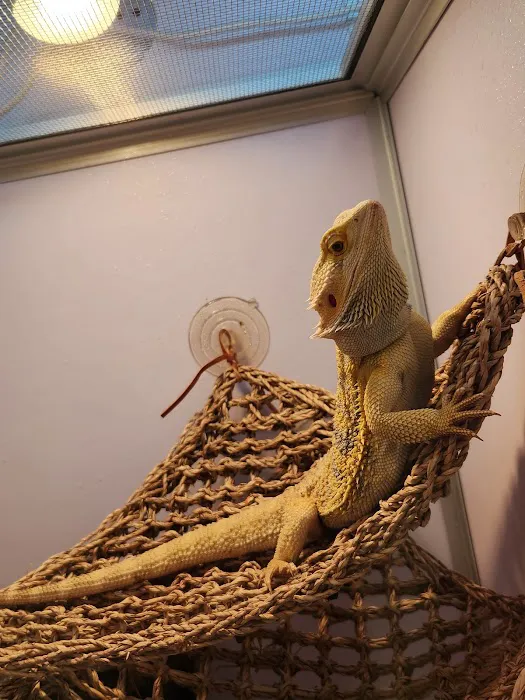Pet Supermarket Picture 10