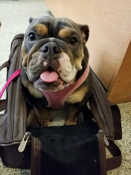 Gramercy Park Animal Hospital Picture 1