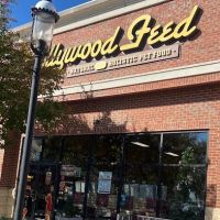 Hollywood Feed ico