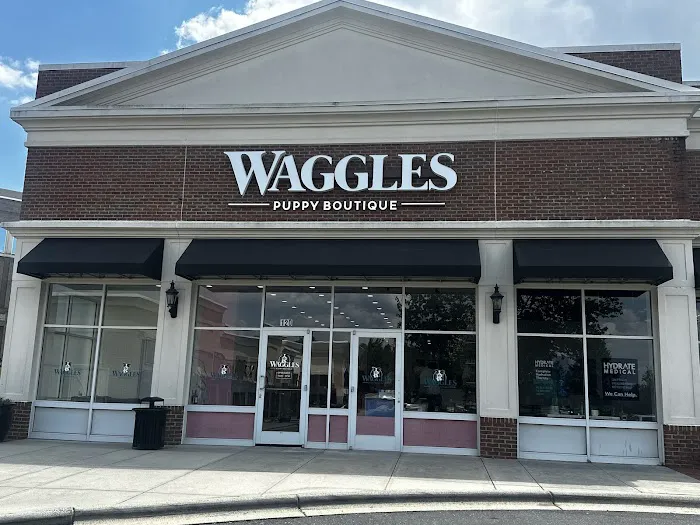 Waggles Charlotte Picture 7