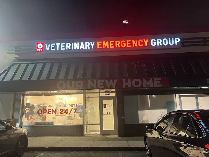 VEG ER for Pets Picture 4