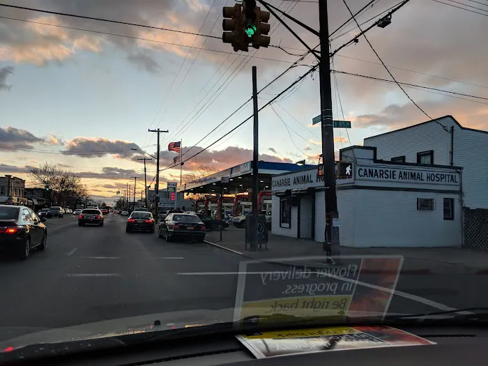 Canarsie Animal Hospital Picture 2