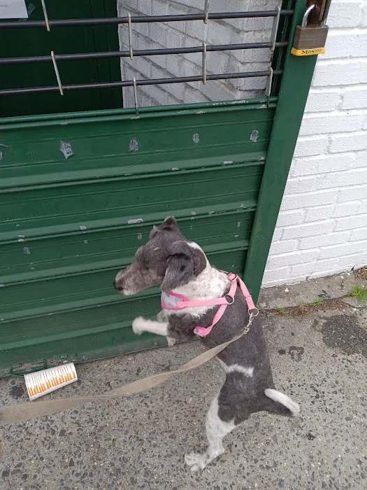 Canarsie Animal Hospital Picture 7