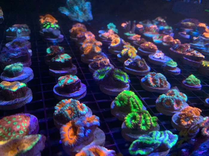TRSCAquatics Picture 7