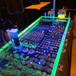 TRSCAquatics