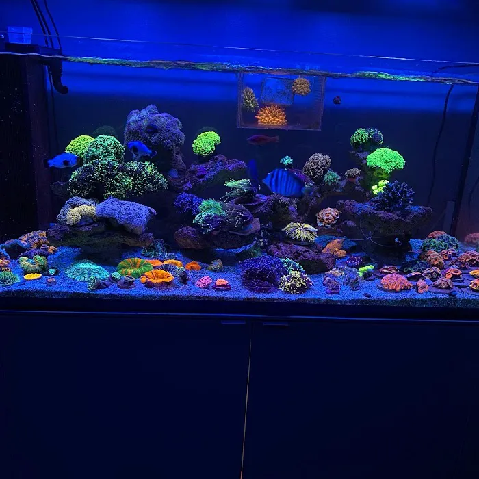 TRSCAquatics Picture 2