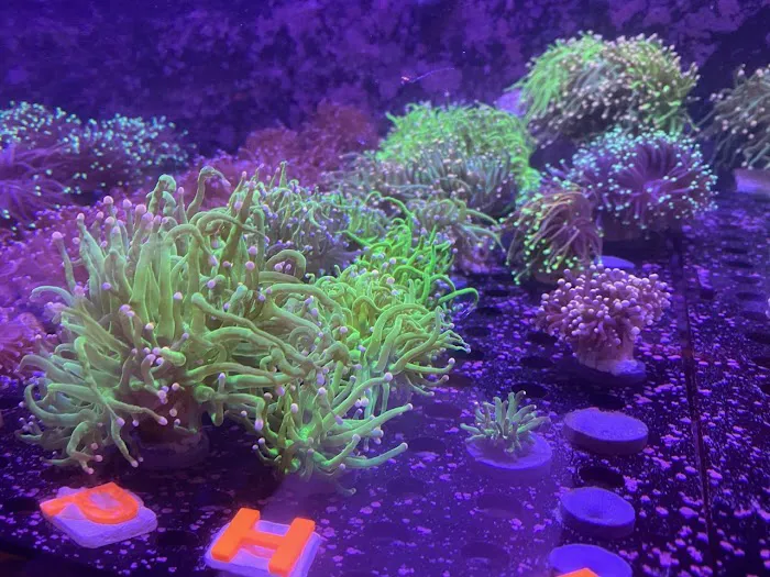 TRSCAquatics Picture 3