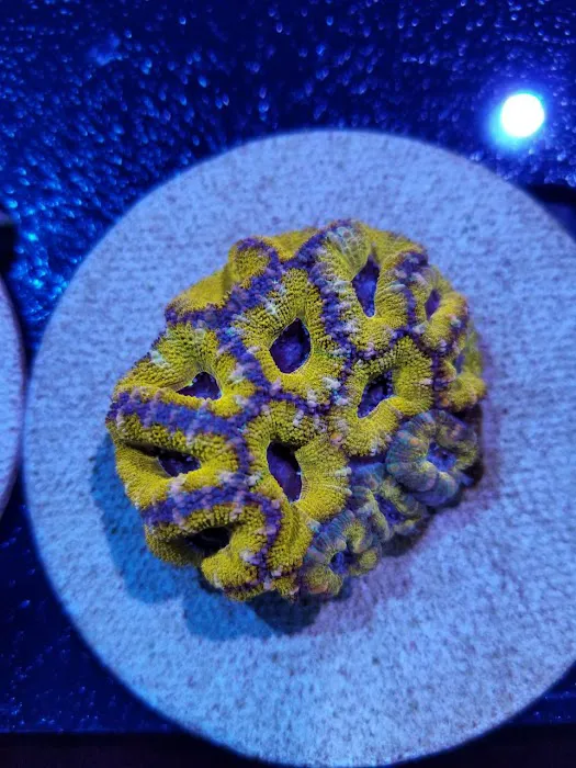 TRSCAquatics Picture 9