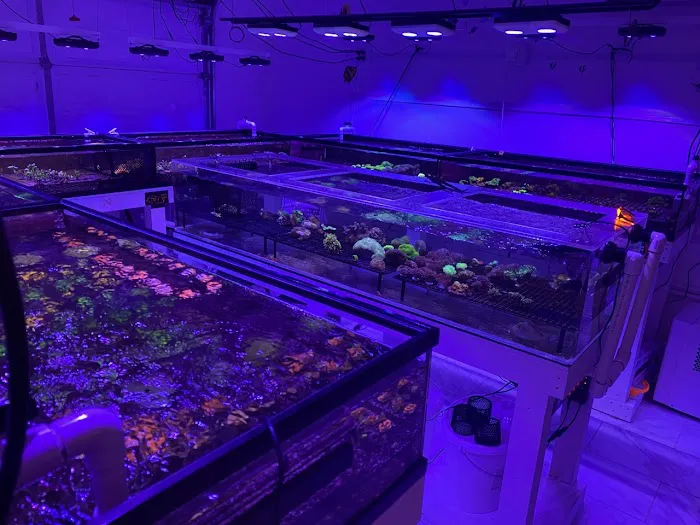 TRSCAquatics Picture 10